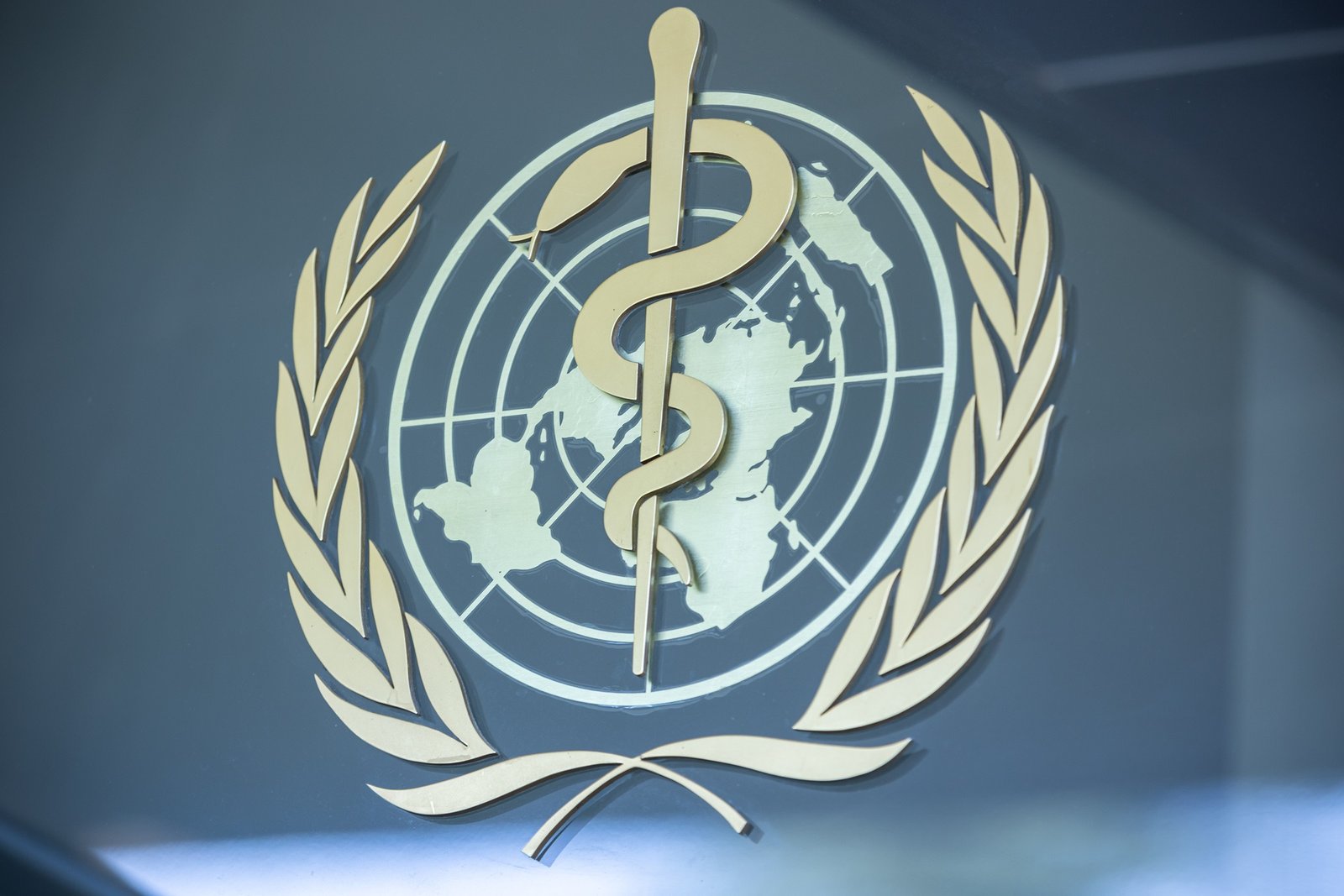 Integrated Dengue & Vector-Borne Outbreak Rapid Response Kit (Edition 2026.1)