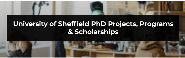 University of Sheffield