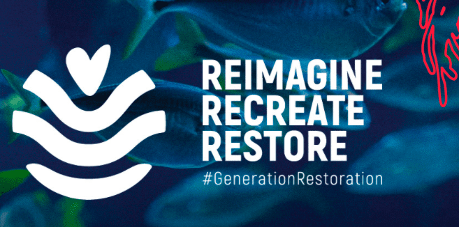World Environment Day 2021: ‘Reimagine. Recreate.Restore.’