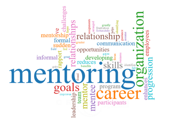 Leadership Mentoring Programme 2021