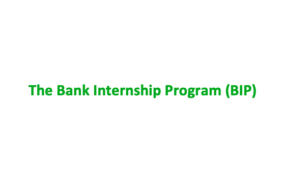 The Bank Internship Program (BIP)