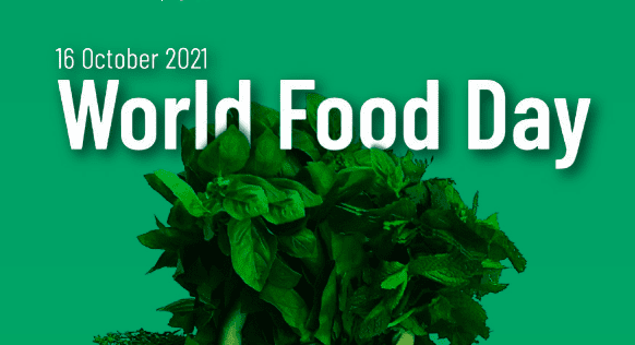 World Food Day 2021: Our actions are our future!