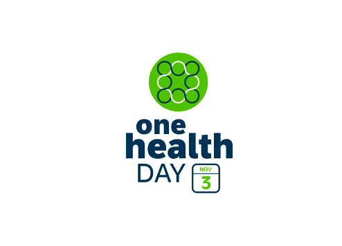 One Health Day 2021: Connecting Human, Animal, and Environmental Health