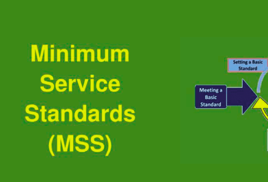 Minimum Service Standards (MSS) Tools