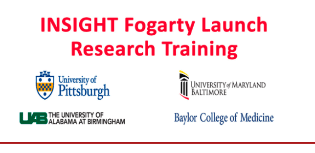 Fogarty Launching Future Leaders in Global Health Research Training Program