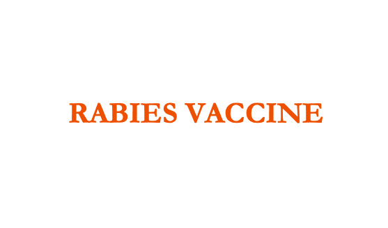 New rabies vaccine candidate demonstrates promising immune response and safety