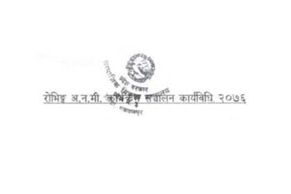 Roving Auxiliary Nurse Midwives (RANMs) Program Implementation Guideline 2076