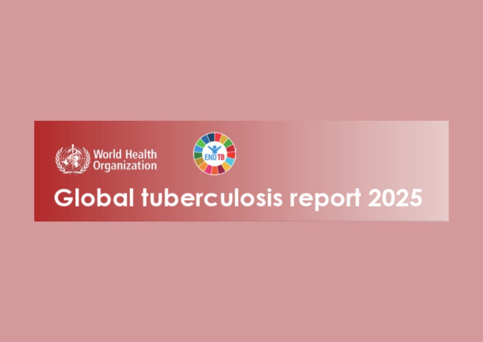 Global Tuberculosis Report 2025