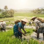 Epidemiology of Extreme Heat Events and Renal Function in Agricultural Workers: South Asian Multi-Cohort Study